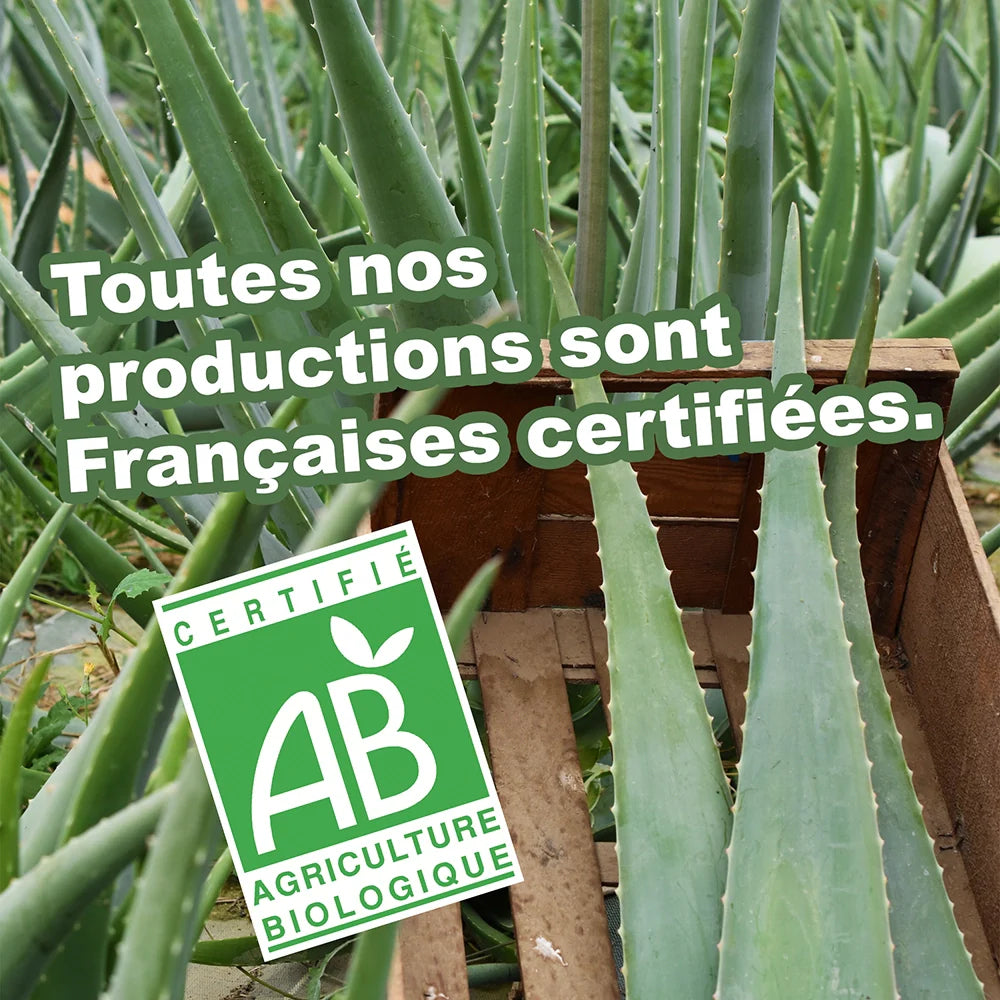Gel sérénité Aloe Vera
